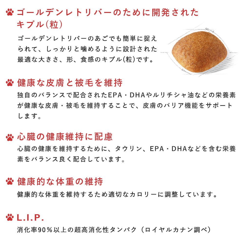 楽天市場】【賞味期限2026/8/27】ロイヤルカナン ゴールデンレトリバー