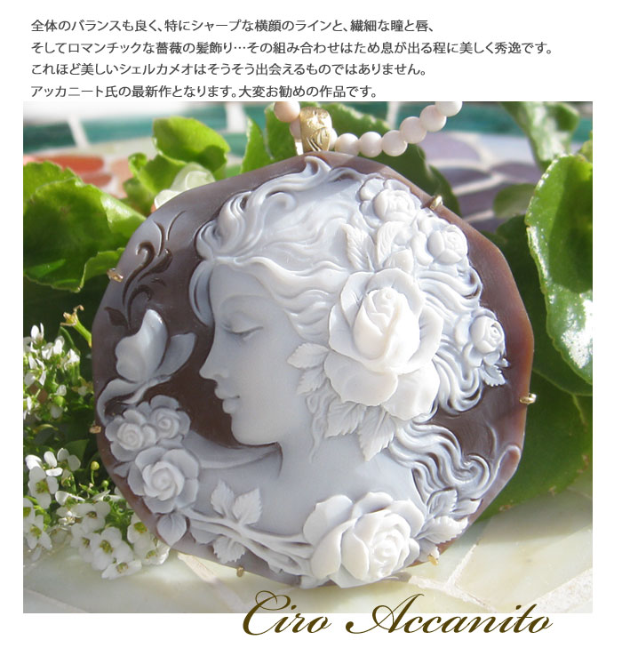 楽天市場】アッカニート最新作Ciro Accanito作シェルカメオK18 SILVER