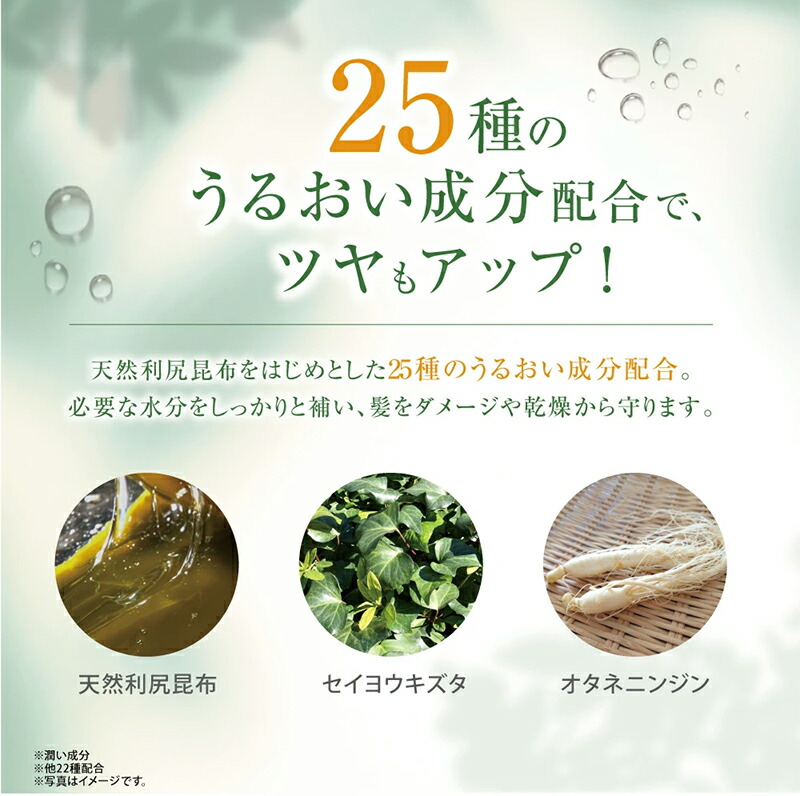 楽天市場】白髪用 利尻カラーシャンプー ＆ カラーケア