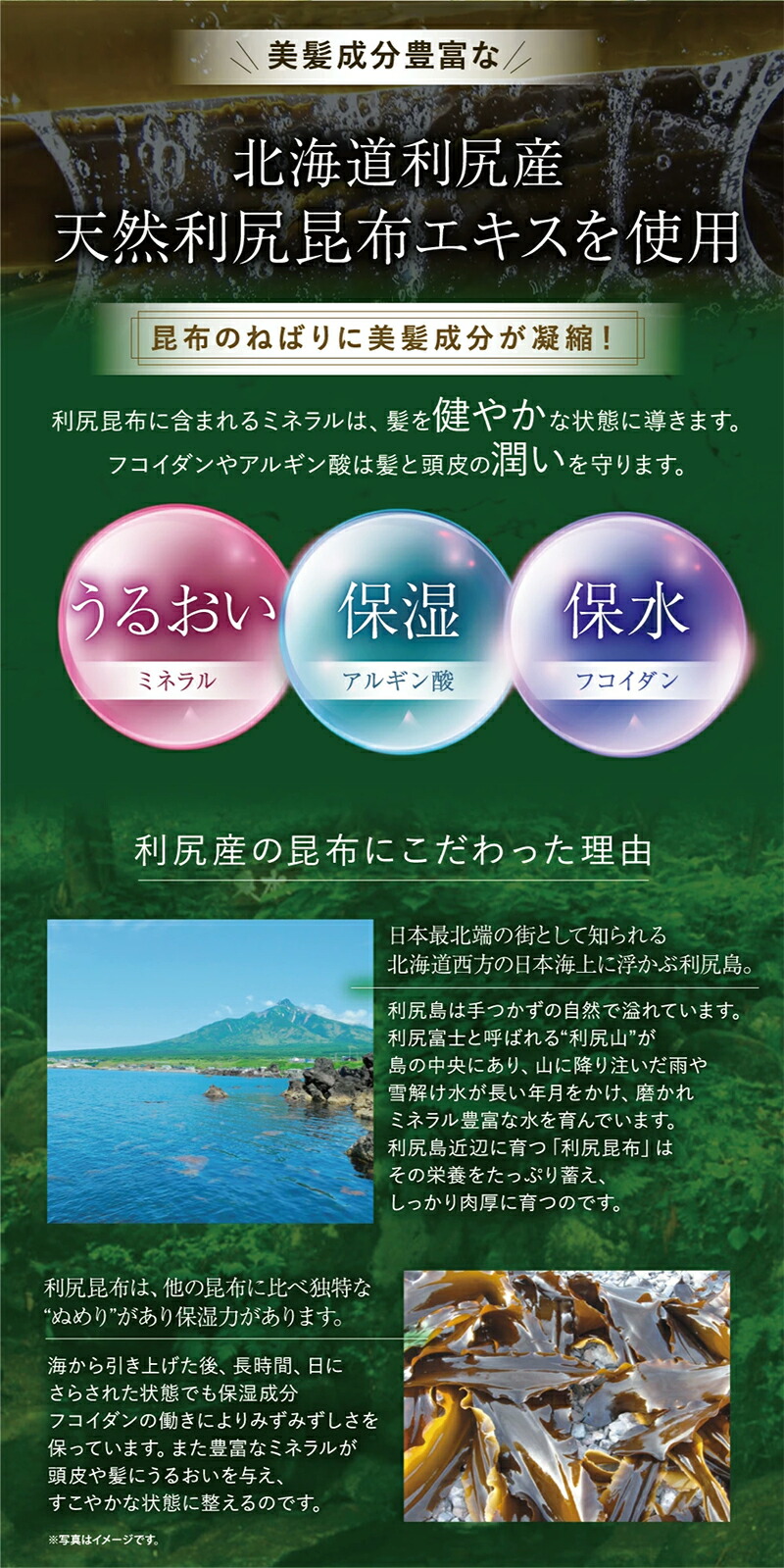 楽天市場】白髪用 利尻カラーシャンプー 200ml×2本 ＆ カラーケア