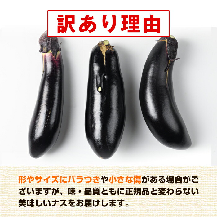 楽天市場】【ふるさと納税】《期間限定》＜訳あり＞ ナス 筑陽 (約5kg