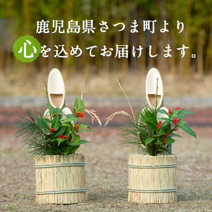 楽天市場】【ふるさと納税】【数量限定】＜2025年12月23日より順次発送