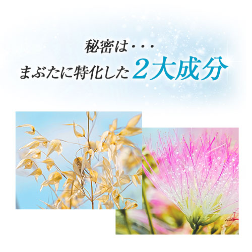 楽天市場】【10%OFFクーポン配布中】[3本セット]まぶた 引き上げ