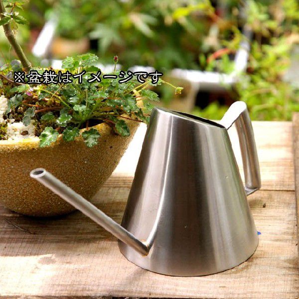 楽天市場】盆栽道具 錆びにくいステンレス製＆スタイリッシュ