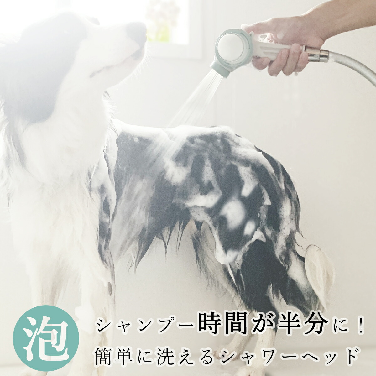 楽天市場】【セール！ 送料無料】自宅でワンちゃんのシャワーが簡単に