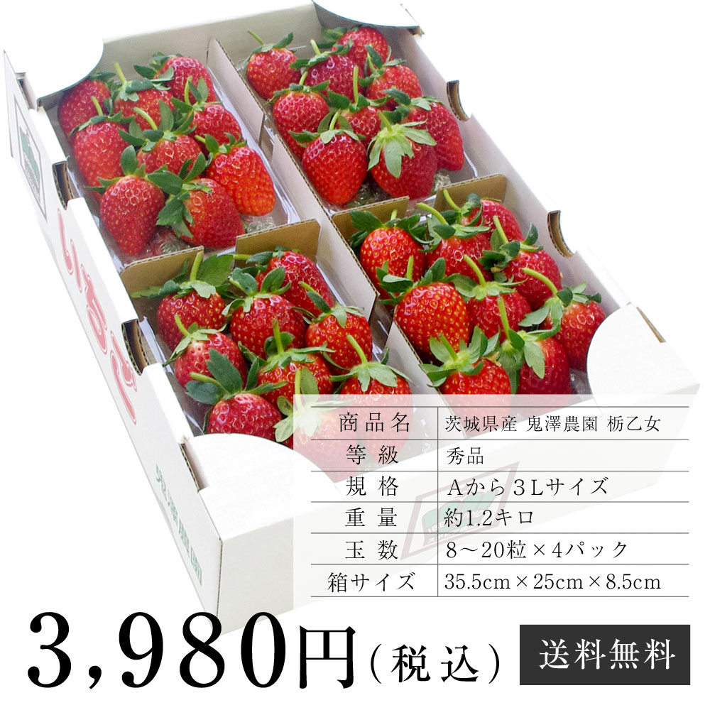 楽天市場】茨城県産 鬼澤農園 ステビア栽培 栃乙女 Aから3Lサイズ 300g