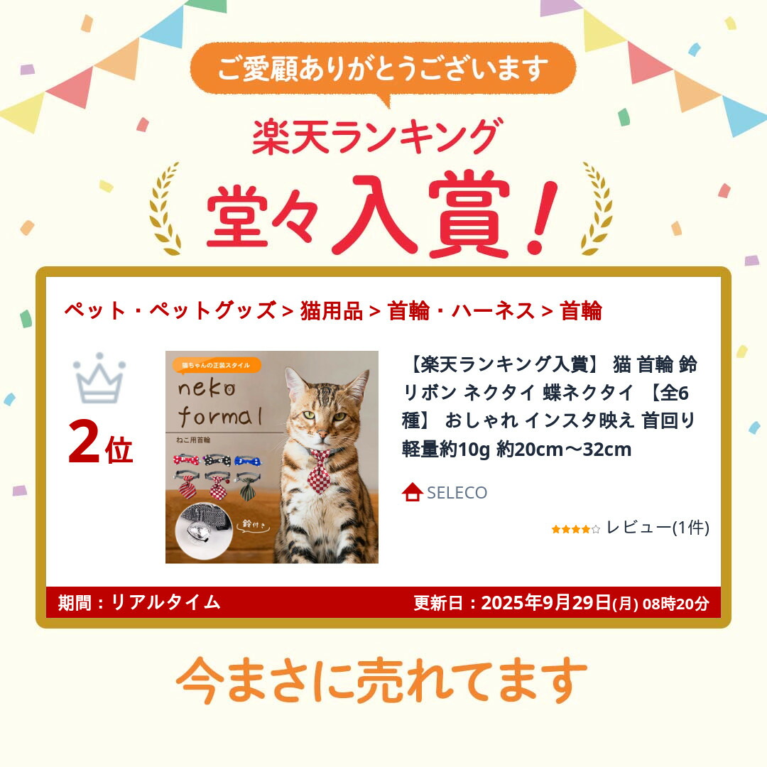 楽天市場】【楽天ランキング入賞】 猫 首輪 鈴 リボン ネクタイ 蝶