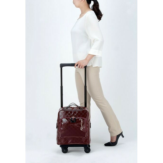 楽天市場】スワニー キャリーバッグ 公式 エマイロVI M18 2色展開