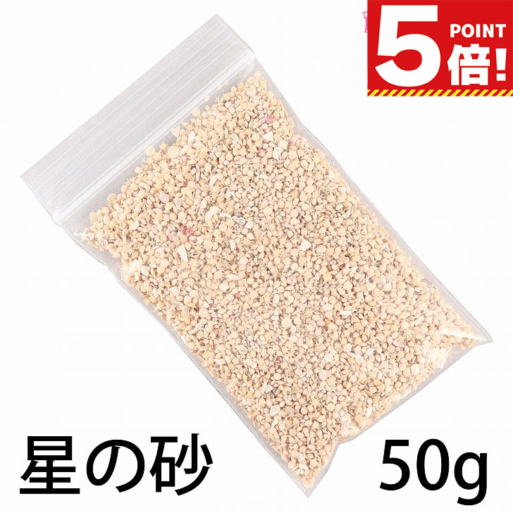 楽天市場】【P5倍! スーパーセールCPあり】 星の砂 星砂 天然 沖縄産
