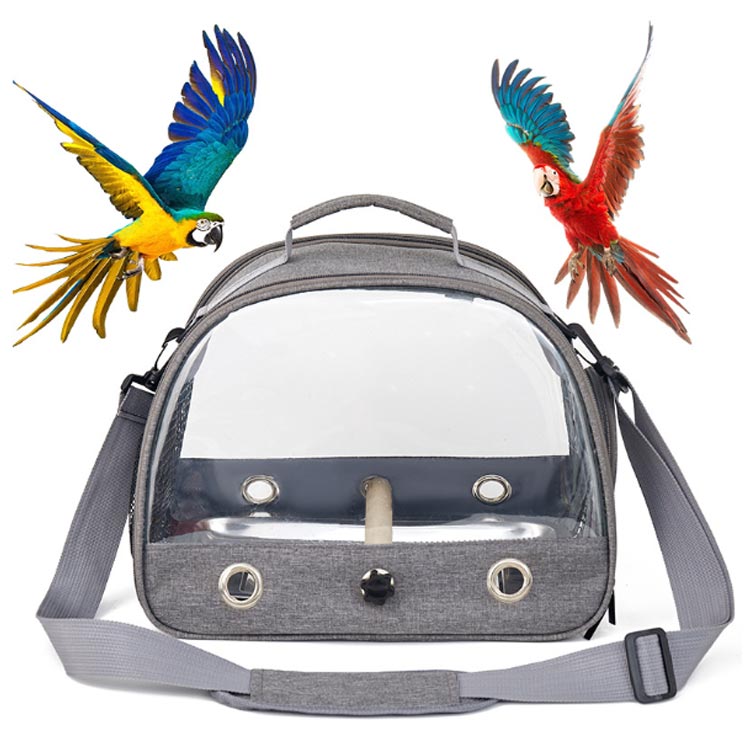 楽天市場】 透明 小鳥 お出かけ キャリー ケージ 鳥 持ち運び インコ