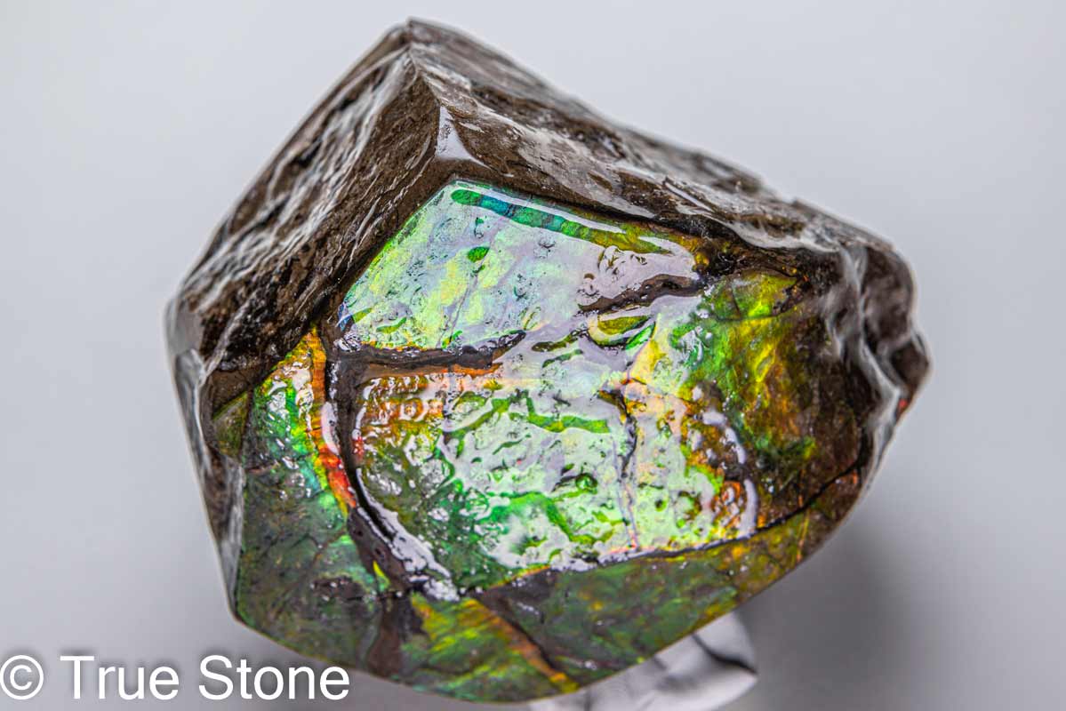 楽天市場】鑑別書付き 希少 AAA アンモライト 原石 608g ドラゴン