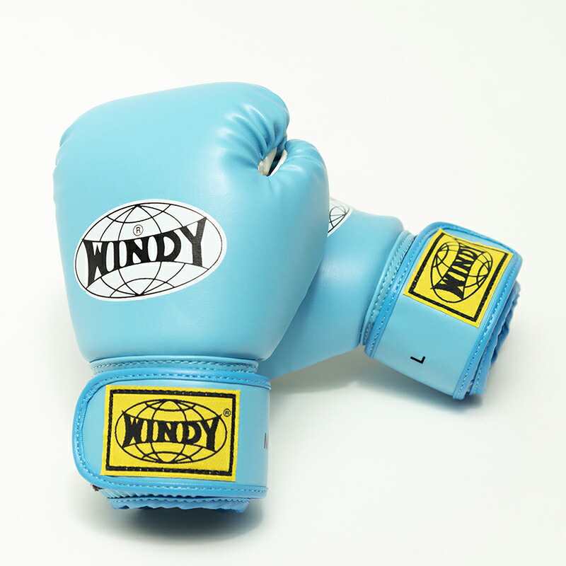 楽天市場】【日本総代理店】WINDY(ウィンディ) BGVC キッズレディス