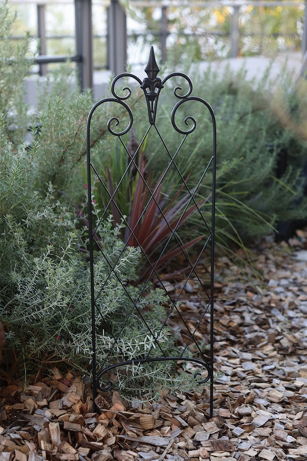 楽天市場】ランバス・アイアントレリス S 2つセット US-38