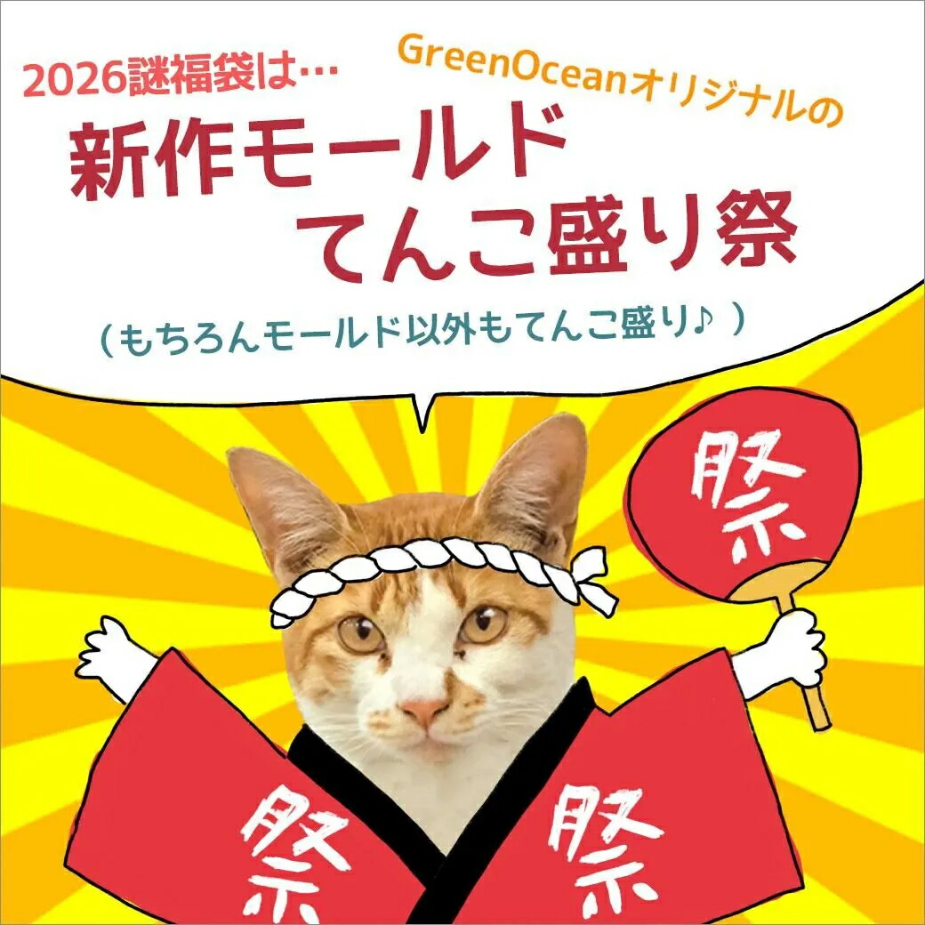楽天市場】△☆【送料無料】2026謎福袋 オマケ付 年末 新春福袋 レジン