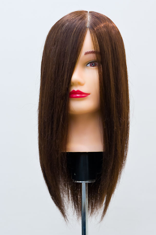 楽天市場】【送料無料】Diana カットウィッグ Cut練タイプ (リアル人口