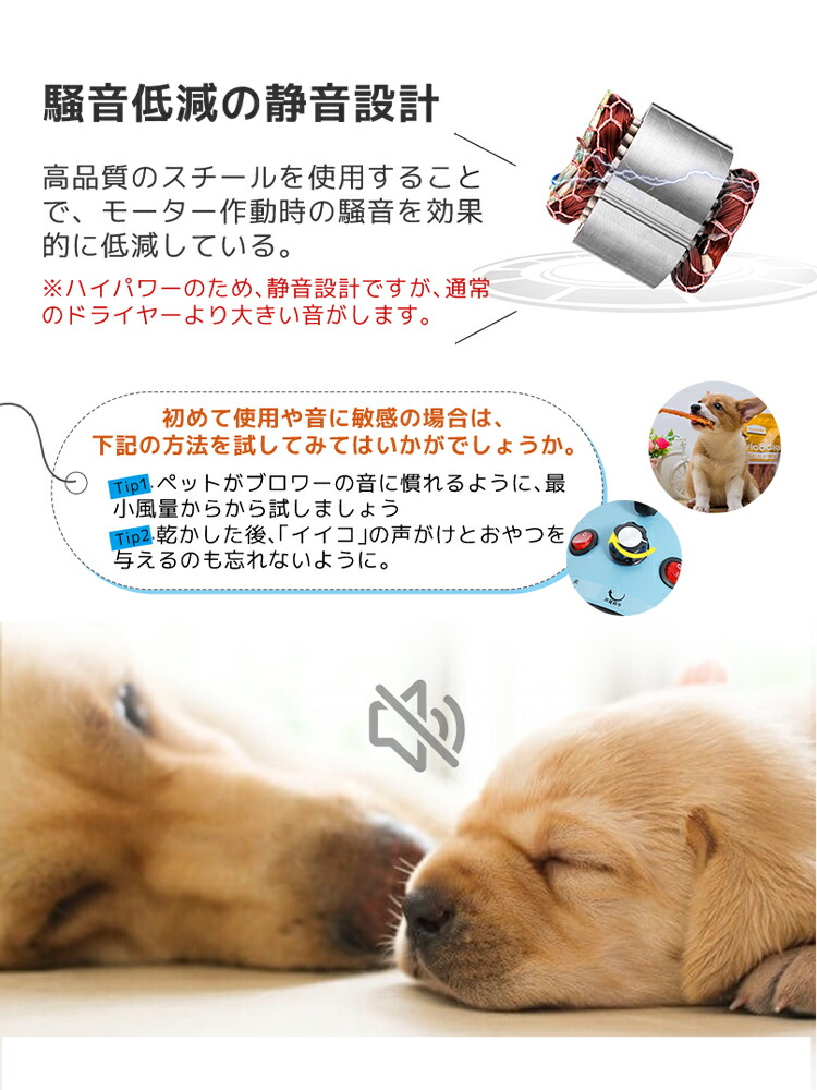 楽天市場】Petmoon 犬用 ドライヤー 4つノズル付き 翌日配達 PSE