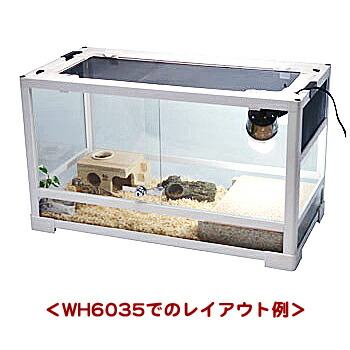 楽天市場】パンテオン ホワイト WH6035【一度のご注文で1個まで