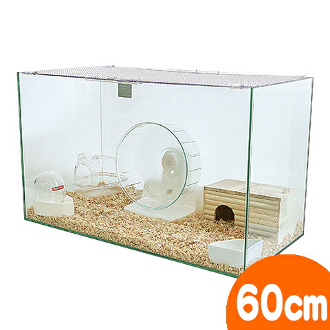 大量 2頭飼えます ハムスター飼育セット ケージ ホイール ヒーター 等 楽天市場】ハムスターケージ ハムスターハウス 檻 セット 飼育かご