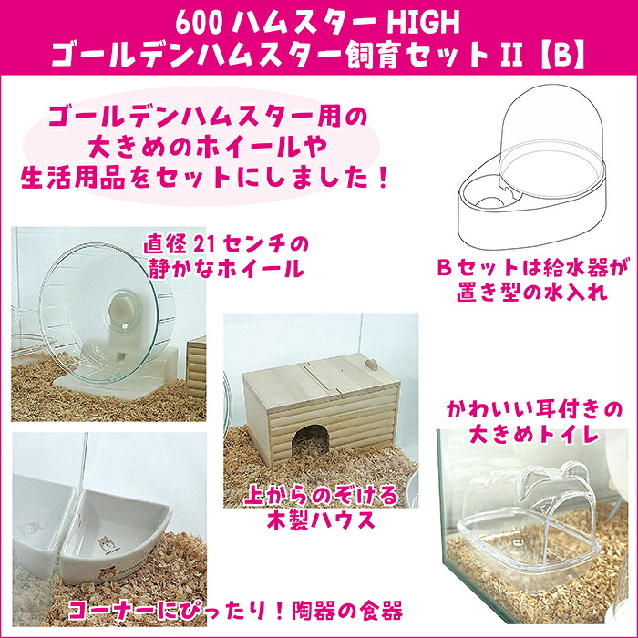 楽天市場】600ハムスターHIGH ゴールデンハムスター飼育セットII【B