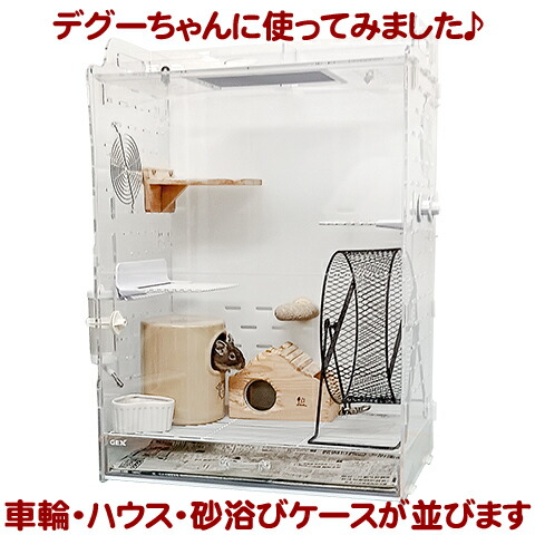 楽天市場】アクリルルームIII 500High : 小動物専門店ヘヴン