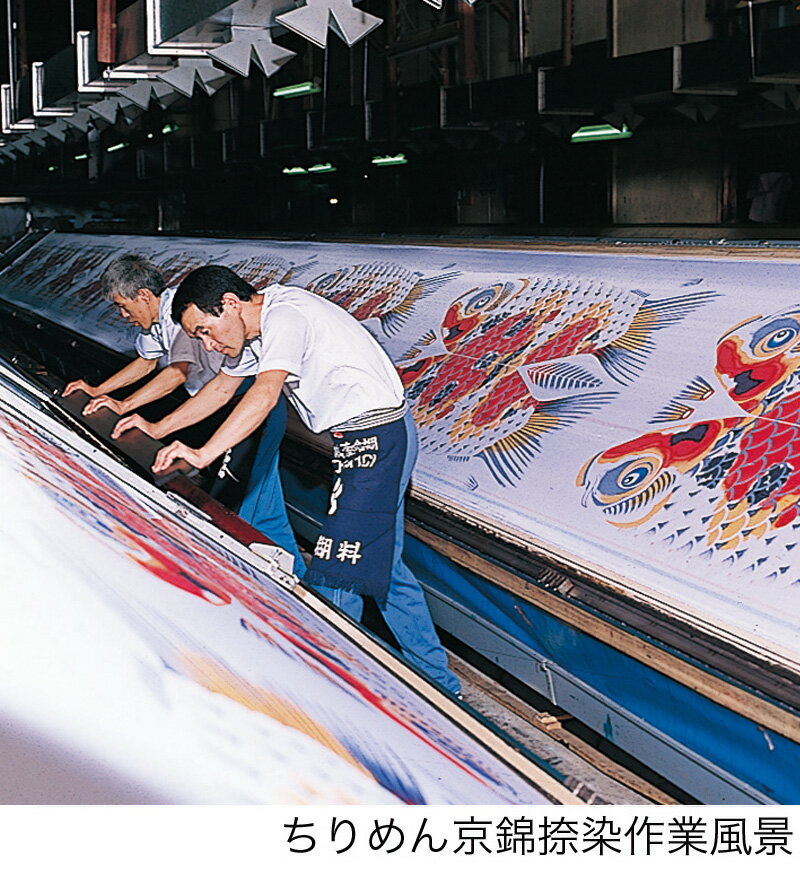 楽天市場】こいのぼり 徳永鯉 鯉のぼり 単品 2m ちりめん京錦 黒鯉