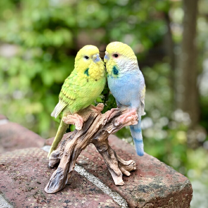 楽天市場】【野川農園】 インコ（ツイン）(13101)W=13cm 鳥 鳥置物