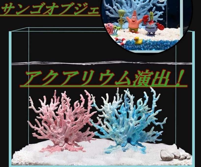 楽天市場】【楽天ランキング1位入賞】サンゴ 珊瑚 礁 アクアリウム