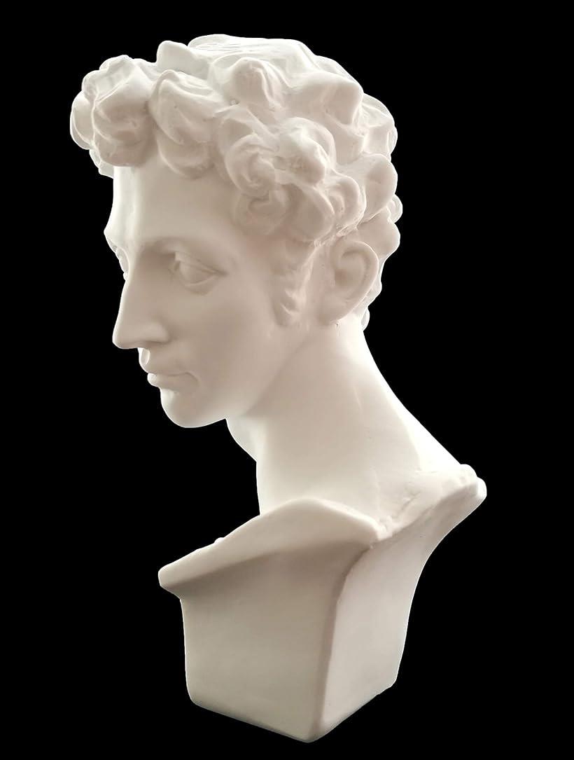楽天市場】自宅が美術館 石膏像風 人物像 シリーズ 割れにくい カケ