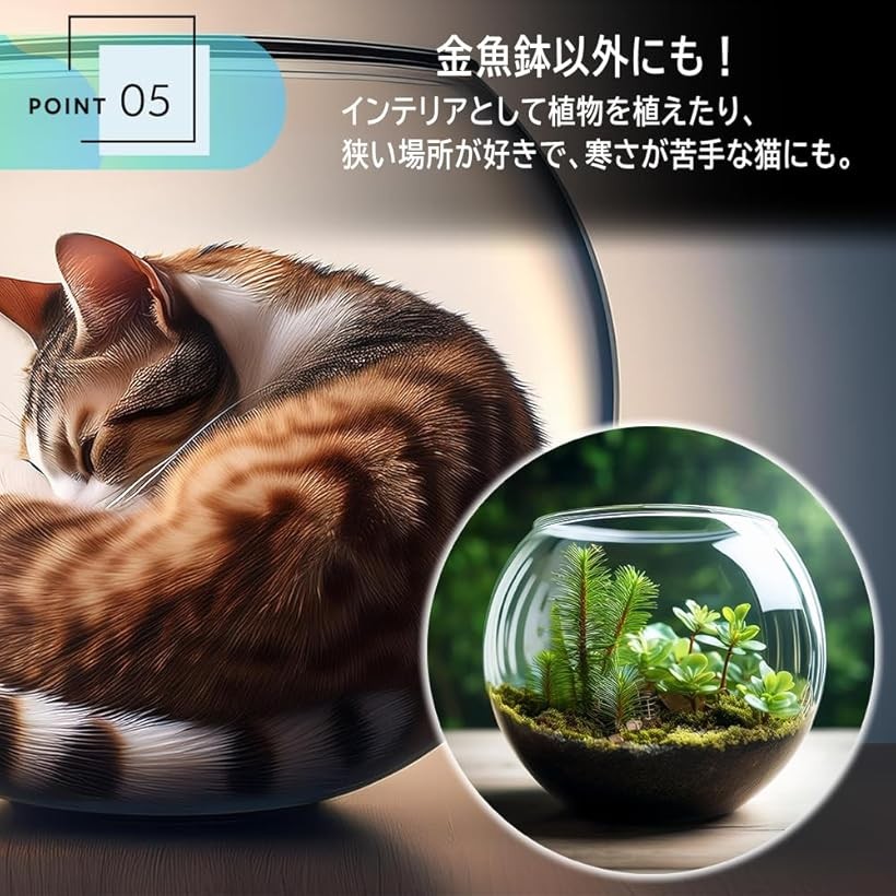 楽天市場】【楽天ランキング1位入賞】金魚鉢 アクリル水槽 透明 メダカ