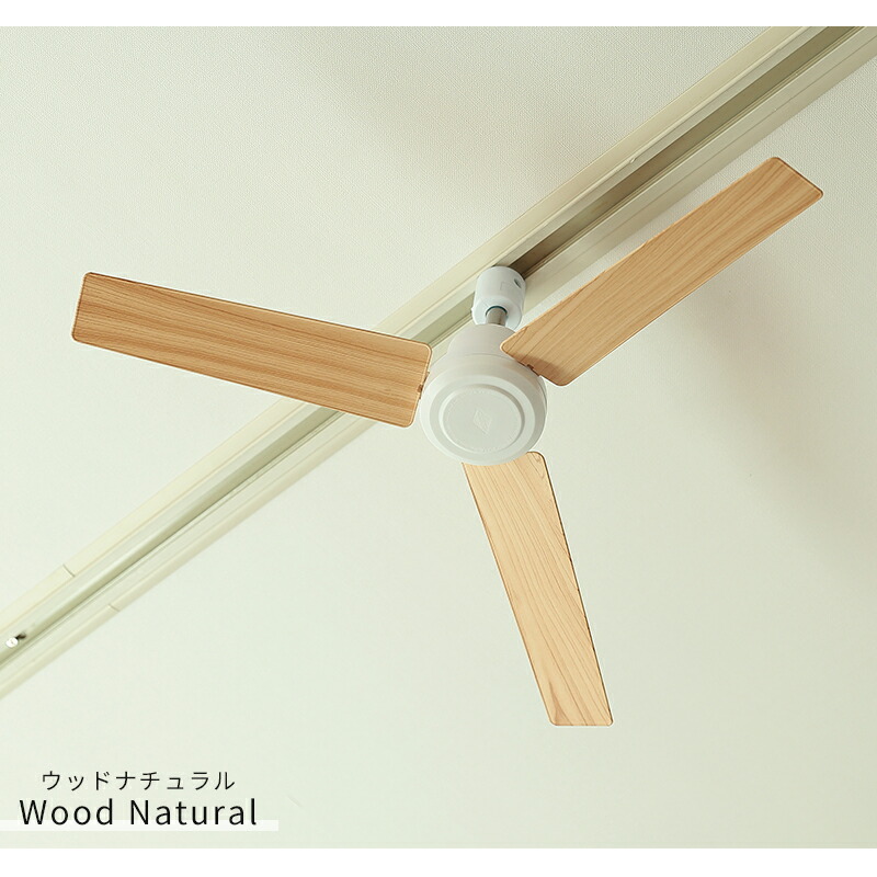 楽天市場】【限定色】【特典付】シーリングファン BRID GENERAL ダクト