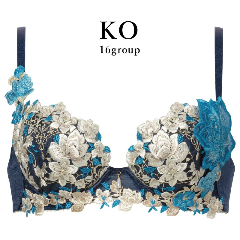 サルート ブラジャー」の人気商品一覧 | 安い商品を通販サイトから探す