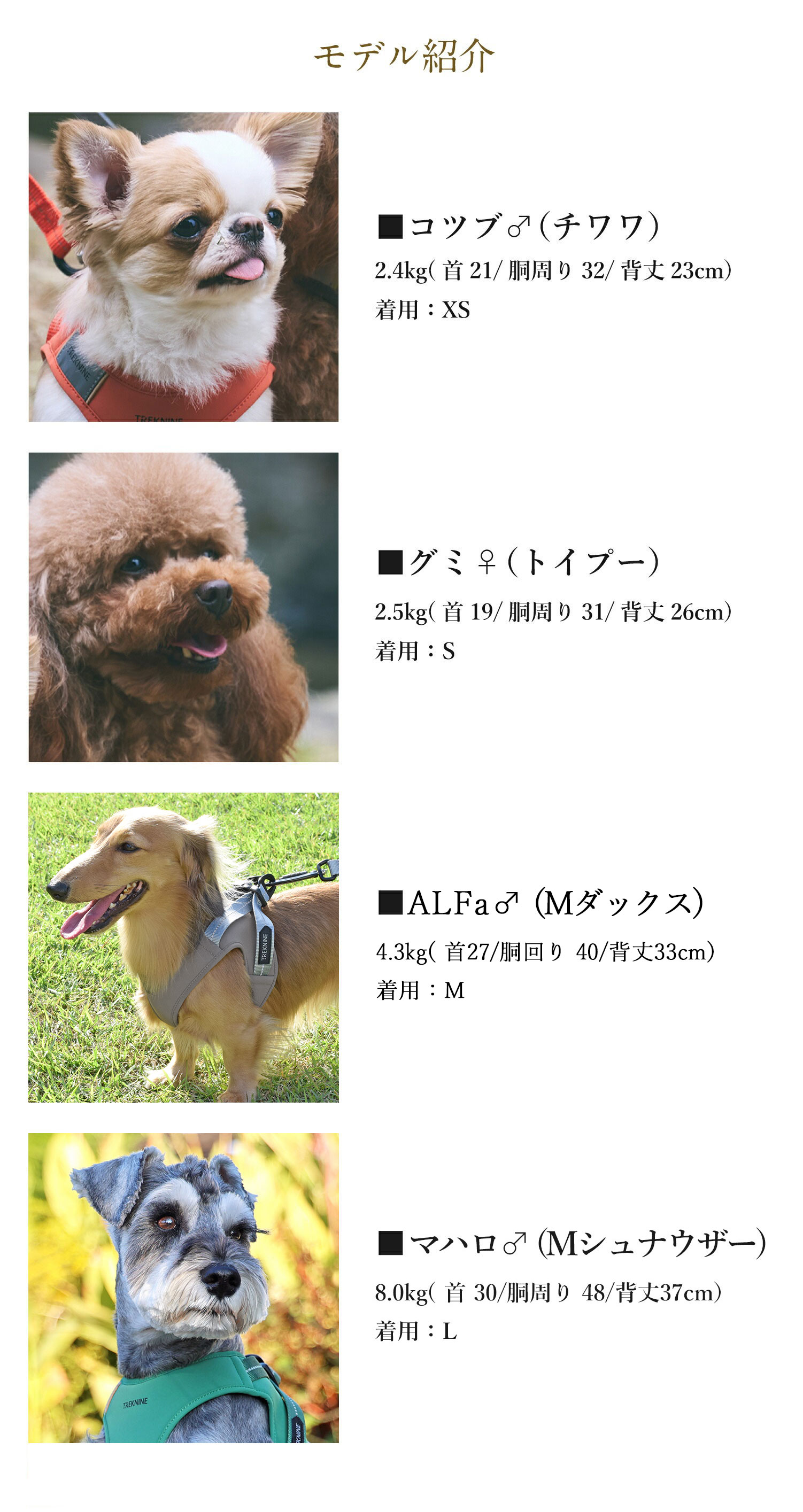 楽天市場】【 犬 ハーネス 】iDog TREKNINE ハーネス コンフォートAIR