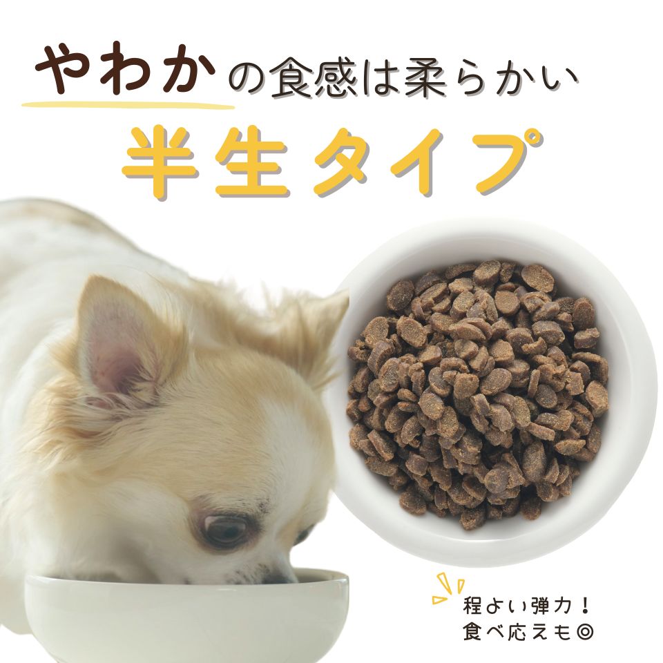 楽天市場】【公式】ドッグフード お試し うまか やわか 170g 国産 総合