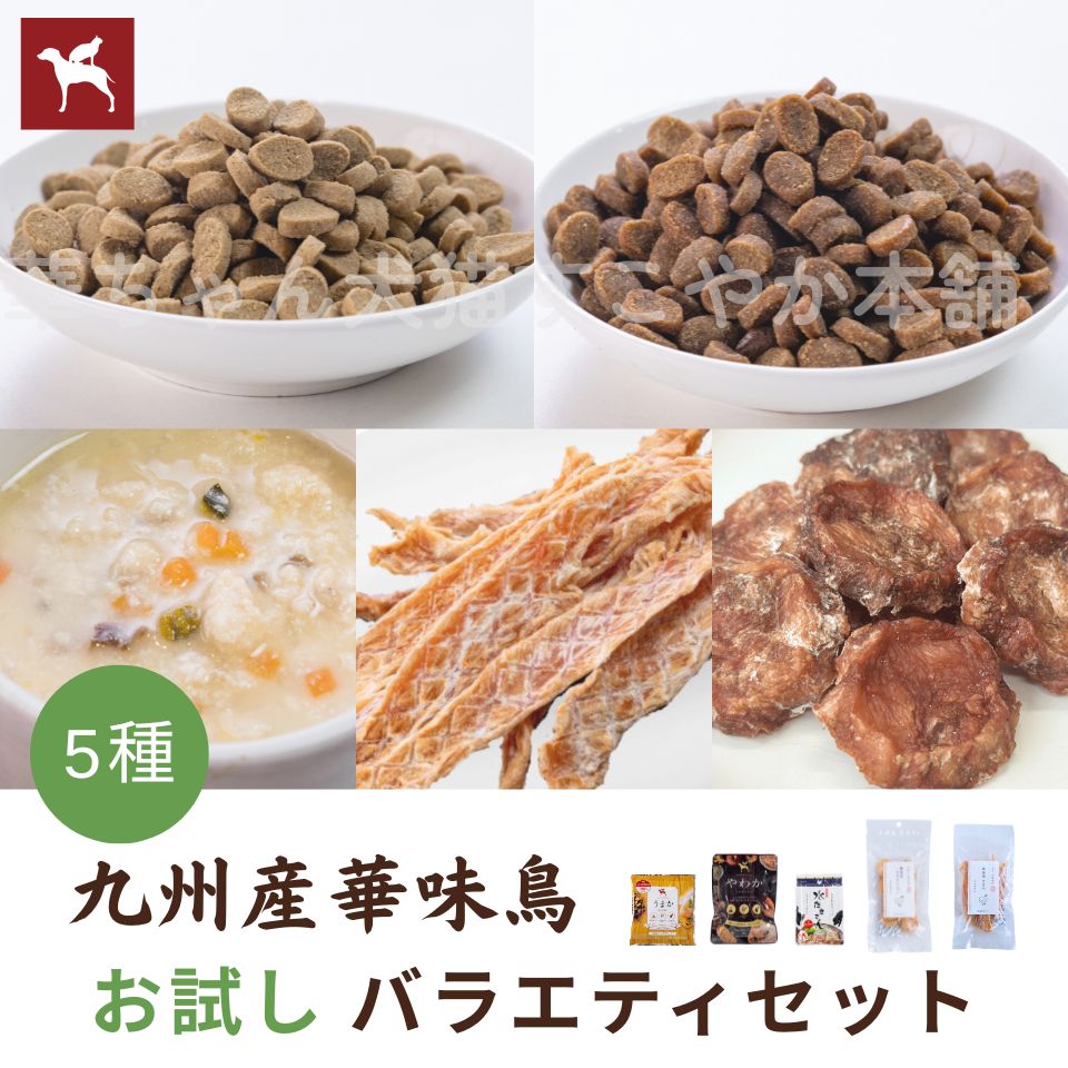 うまか ドッグフード」の人気商品一覧 | 安い商品を通販サイトから探す