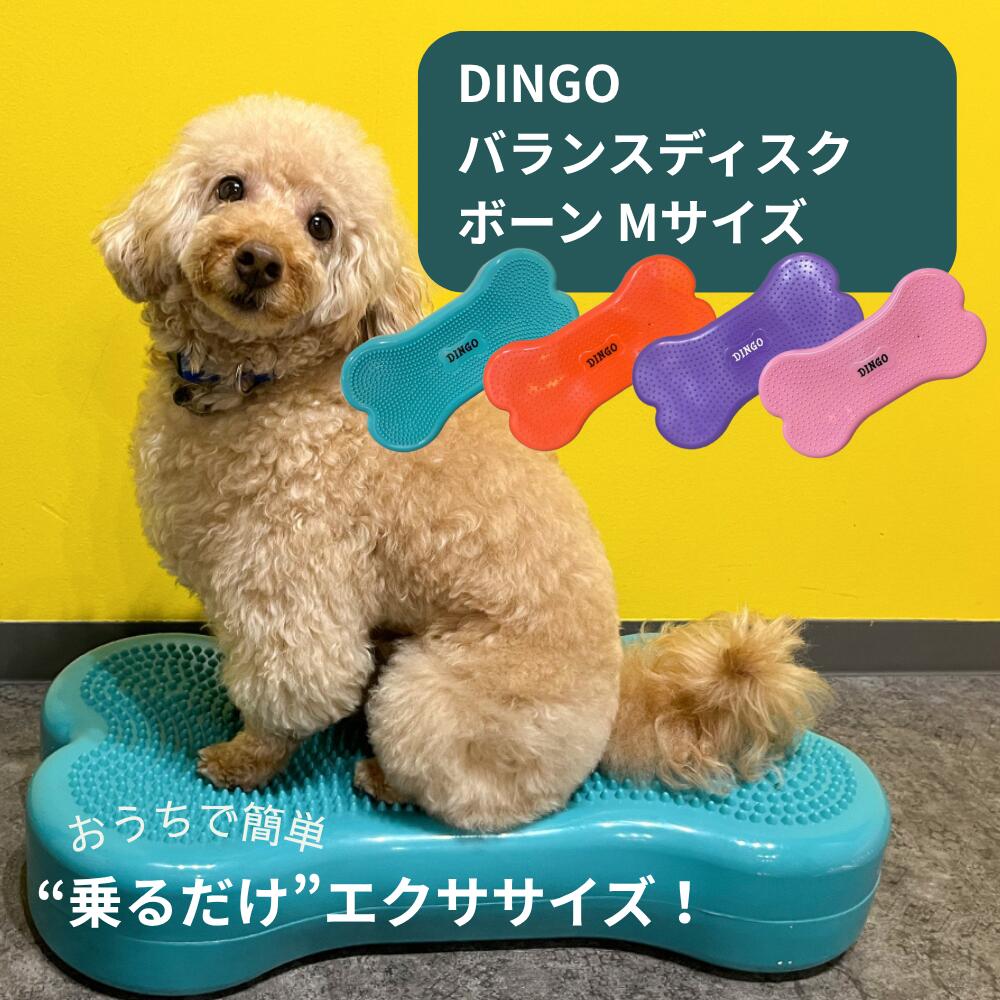楽天市場】DINGO バランスディスク ボーン Mサイズ 犬 ペット ドッグ