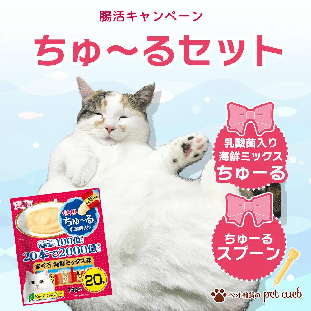 楽天市場】腸活 キャンペーン CIAO ちゅ〜る 猫 20本 ちゅーるスプーン