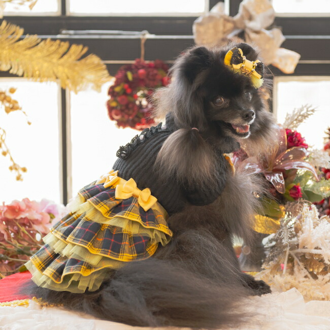 楽天市場】犬服 セーター ドッグウェア リブ×タータンチェック