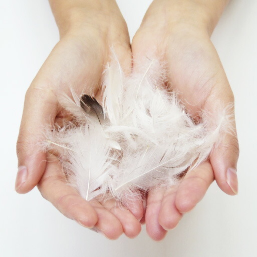 楽天市場】fabrizm アップサイクルダウン羽毛掛け布団 シングル 日本製