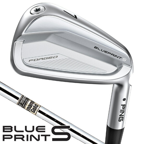 楽天市場】X100（ブランドピン）（アイアン｜メンズクラブ）：クラブ