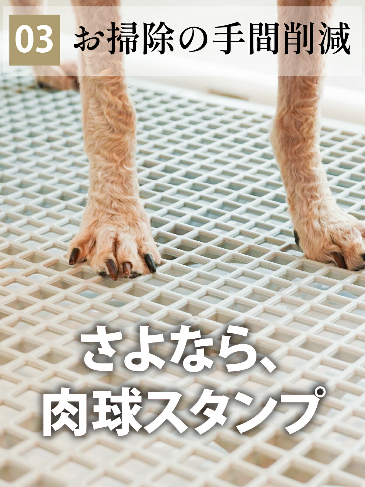 楽天市場】【楽天SS!期間限定!!10％OFFクーポン配布中】【2個以上で5