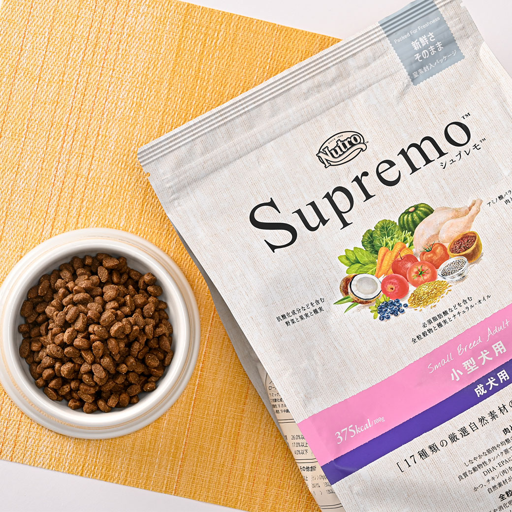 楽天市場】ポイント最大10倍！3/4 20:00〜3/11 01:59まで 公認店