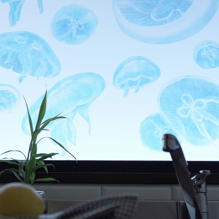 楽天市場】【全品対象クーポン配布中】 透ける クラゲ ウィンドウ