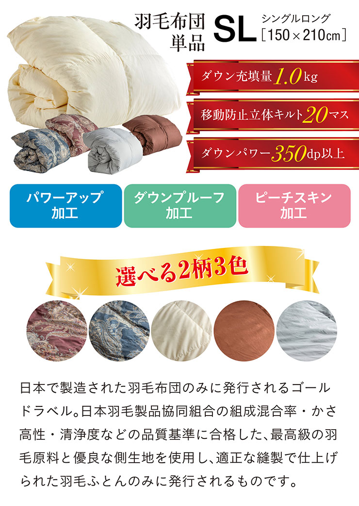 楽天市場】【ポイント7倍！今晩20時開始】【エクセルゴールドラベル