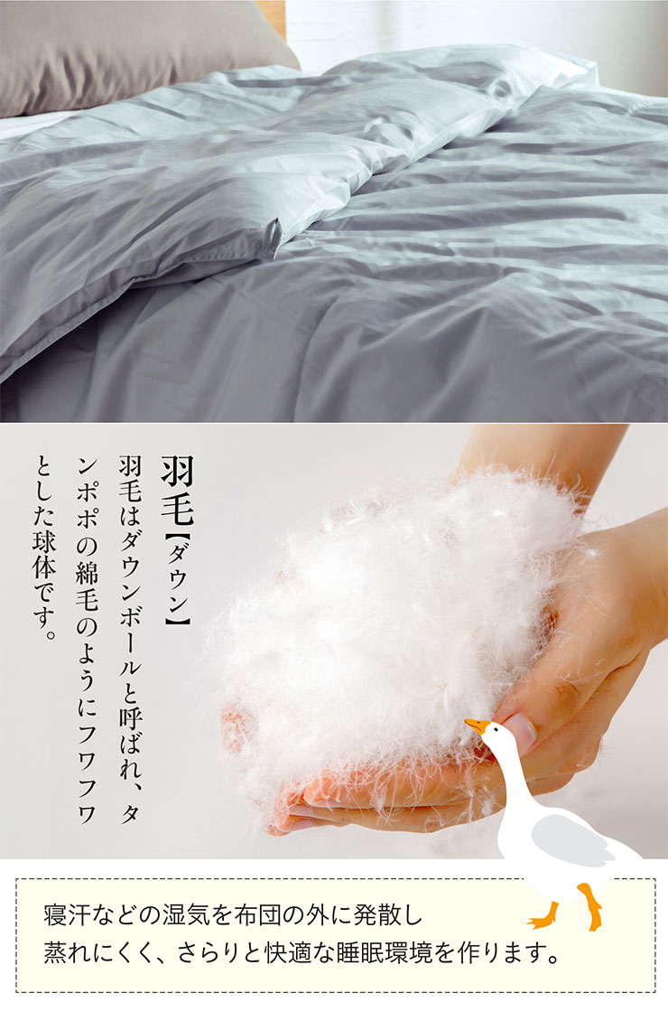 楽天市場】【ポイント7倍！今晩20時開始】羽毛布団 シングル 掛け布団