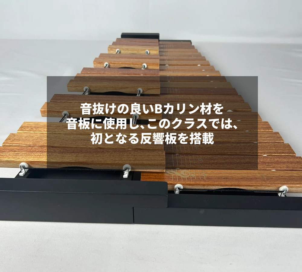 楽天市場】木琴 子供 32音 卓上木琴 ゼンオン シロフォン ZX32BK バチ