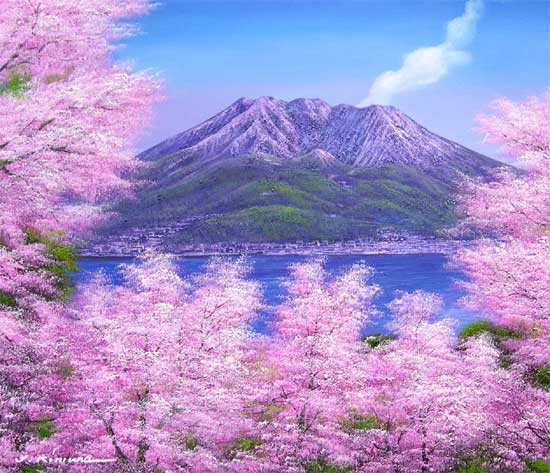 楽天市場】絵画 油絵 桜島の桜 （木村由記夫） 送料無料 【肉筆