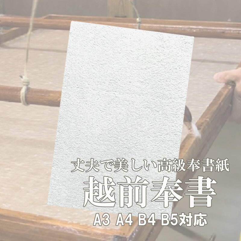 楽天市場】3月最大800円OFFクーポン【和紙】越前奉書(手漉き) (約0.16