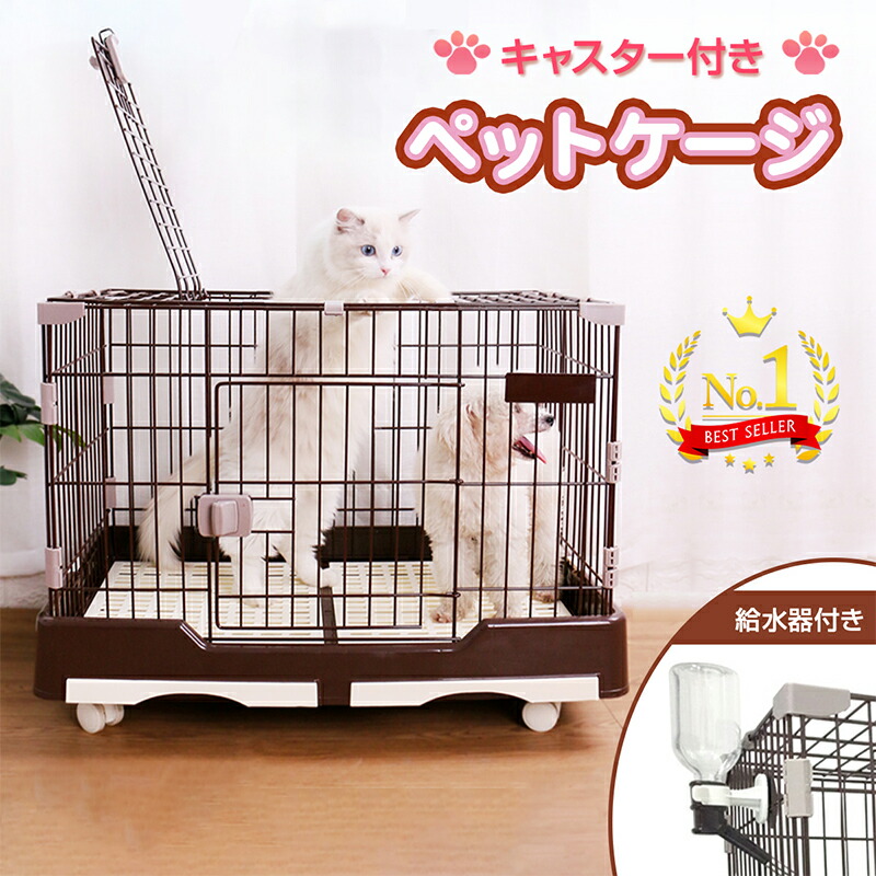 楽天市場】【SS&P2倍!500円OFF⇒6380】RAKU 楽天1位 給水器付 うさぎの