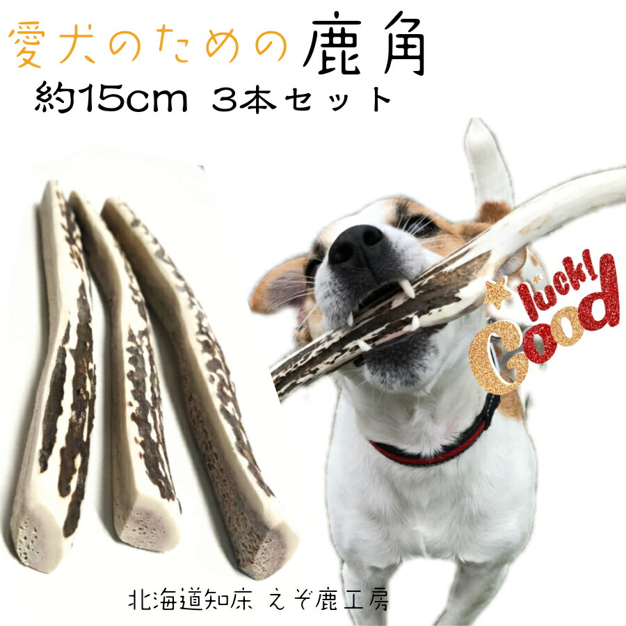 楽天市場】鹿の角 犬 おもちゃ 長さ約15cm 4つ割り 3本セット エゾシカ