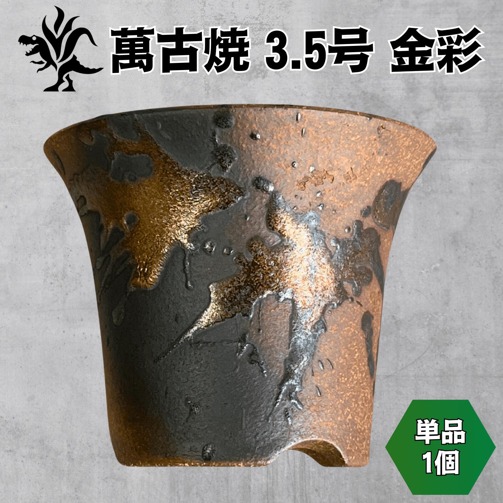 楽天市場】Kaiju Plant 萬古焼 3.5号 陶器鉢 ラッパ アガベ 多肉 塊根